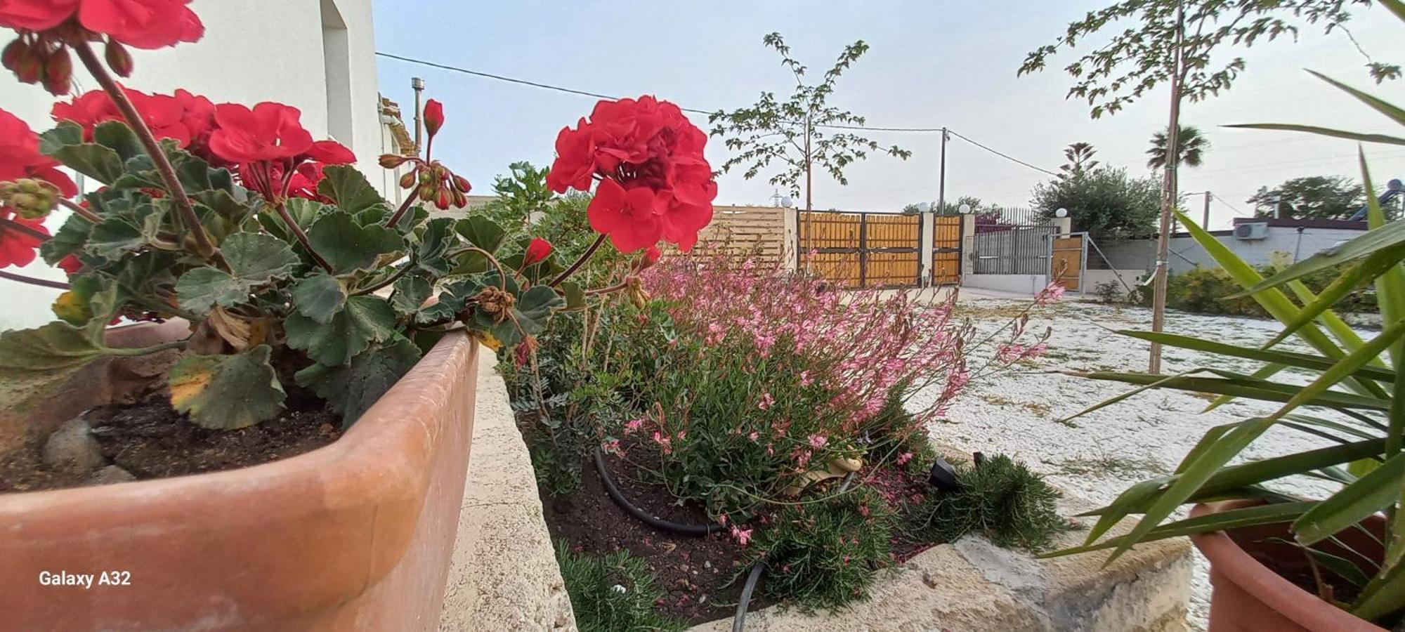 Almademari Giglio Casa Vacanza Pachino Camera foto